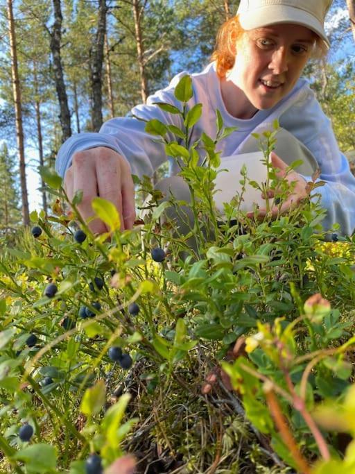Villa Persas Kristinehamn Bagian luar foto